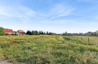 Immobilie kaufen in 39326 Colbitz, Baugrund für Investoren - Wohnen und/oder Gewerbe in Colbitz am Rande der Colbitz-Letzlinger Heide