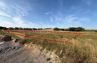 Immobilie kaufen in In Den Altengärten, 56357 Strüth, FELDRANDLAGE - Großes Grundstück im Idyll