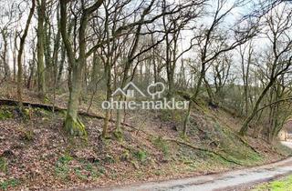 Immobilie kaufen in 55546 Tiefenthal, Waldgrundstück im Kreis Bad Kreuznach zu verkaufen