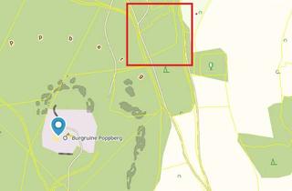 Immobilie kaufen in 92262 Birgland, Forstwirtschaftsfläche bei Poppberg