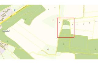 Immobilie kaufen in 91126 Kammerstein, Land- und Forstwirtschaftsflächen in Barthelmesaurach