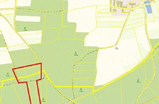 Immobilie kaufen in 91126 Kammerstein, Forstwirtschaftsfläche