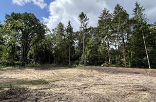 Immobilie kaufen in 21244 Buchholz, Großes Grundstück für Ihre Traumhaus in Holm-Seppensen gesucht?