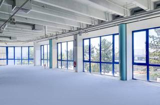Büro zu mieten in 63128 Dietzenbach, Großzügige Praxis-, Büro- und Ausstellungsfläche, vielfältige Nutzung und eigener Ausbau möglich
