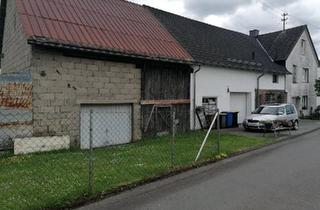 Bauernhaus kaufen in 57583 Nauroth, Nauroth - Haus mit Doppelscheune-gr. Wiesengrundstück 1700qm