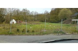 Haus kaufen in 58553 Halver, Halver - 4 Grundstücke für Tinyhäuser