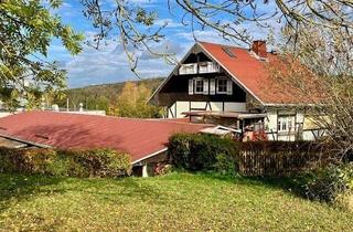 Gewerbeimmobilie kaufen in 08228 Rodewisch, Firmen-Domizil UND Familien-Idyll