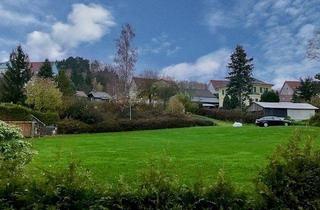 Grundstück zu kaufen in 08541 Mechelgrün, Hier will ich Wurzeln schlagen!