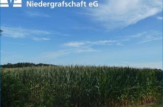 Immobilie kaufen in 49847 Wielen, Landwirtschaftliche Fläche in Wielen-Vennebrügge