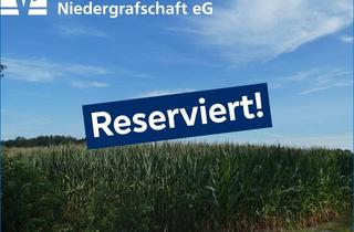 Immobilie kaufen in 49847 Wielen, Landwirtschaftliche Fläche in Wielen-Vennebrügge