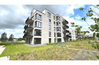 Wohnung mieten in 21502 Geesthacht, 2-Zimmer-Neubauwohnung mit Elbblick