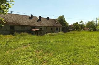 Bauernhaus kaufen in 54531 Eckfeld, Eckfeld - Charmantes Bauernhaus mit Geschichte, modernster Technik und großem Potenzial in Eckfeld