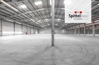 Geschäftslokal mieten in 78713 Schramberg, Moderne Produktions- und Lagerhalle in Schramberg-Waldmössingen.