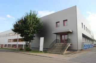 Geschäftslokal mieten in Riedweg 45-47, 89081 Ulm, Helle und großzügige Lager & Produktionshalle, vielseitig nutzbar - TOP Lage