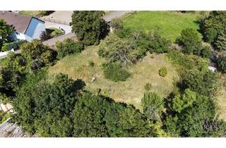 Grundstück zu kaufen in 04886 Stehla, Ehemaliges Gehöft mit elf dazugehörigen Grundstücke