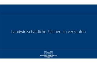Grundstück zu kaufen in 86807 Buchloe, Landwirtschaftliche Flächen in Buchloe/Lindenberg