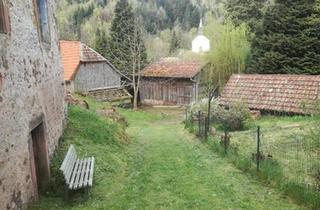Bauernhaus kaufen in 67806 Rockenhausen, Rockenhausen - Bauernhof in Idyllischer Lage im Nationalpark Hochvogesen
