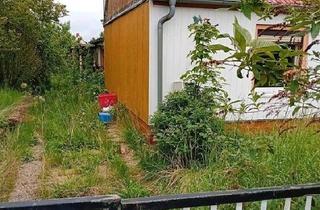 Einfamilienhaus kaufen in 49733 Haren, Haren (Ems) - Haus in Grimma