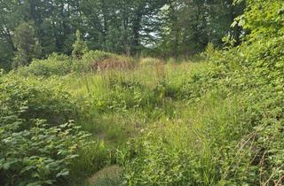 Grundstück zu kaufen in 25712 Burg, Traum Grundstück in Burg Dithmarschen zu verkaufen