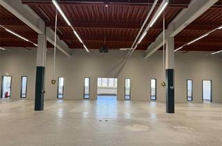 Büro zu mieten in Am Borsigturm, 13507 Berlin, Halle mit Büro Nähe U- Bhf Borsigwerke zu mieten