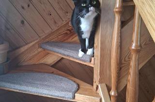 Haus kaufen in 95138 Bad Steben, Zweifamilienhaus in ruhiger Lage bei Bad Steben !