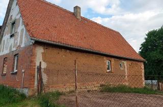 Einfamilienhaus kaufen in 06642 Nebra, Nebra (Unstrut) - Einfamilienhaus mit Scheunenteil & Hof - Sanierungsobjekt, auch a
