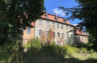 Immobilie kaufen in 04552 Borna, Denkmalobjekt für Bauträger - Wohnungsentwicklung im Schloss mit einzigartiger Parkanlage