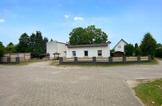 Einfamilienhaus kaufen in 17039 Wulkenzin, Haus mit großem Garten zum Wohnen und Arbeiten (Nähe Neubrandenburg)