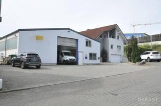 Gewerbeimmobilie kaufen in 69242 Mühlhausen, Einmalige Immobilie mit Gewerbehalle und Zweifamilienhaus in verkehrsgünstiger Lage