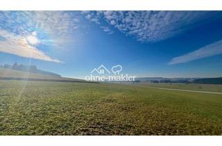 Immobilie kaufen in 88410 Bad Wurzach, Traumhaftes Baugrundstück im Allgäu