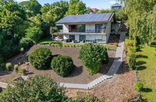 Einfamilienhaus kaufen in 78234 Engen, Engen - Ein Traum von Extravaganz