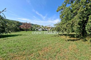 Grundstück zu kaufen in 73466 Lauchheim, 1,8 ha Ackerland; 1,9 ha Grünland; 0,35 ha idyllisch gelegenes Gartengrundstück in 73466 Lauchheim