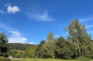 Grundstück zu kaufen in 01328 Dresden, Heute Wildwuchs, morgen Gemüsegarten, übermorgen ... Bauland?