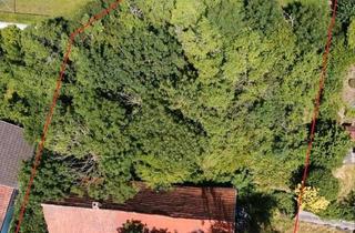 Haus kaufen in 36381 Schlüchtern, Schlüchtern - Fachwerkhaus mit Scheune im grünen 922 m² Hang Grundstück