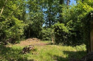 Grundstück zu kaufen in 04827 Machern, Waldwinkel Machern: Natur trifft Lebensqualität – Baugrundstück in absolut ruhiger Waldlage