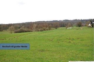 Einfamilienhaus kaufen in 31749 Auetal, Auetal - 40.000m² großer Resthof mit Weide, Stallungen und Scheune vor den Toren der Landeshauptstadt Hannover