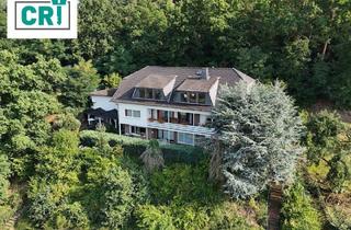 Einfamilienhaus kaufen in 35094 Lahntal, Lahntal / Göttingen - Wohnen mit Weitblick - Großzügiges Einfamilienhaus mit Einliegerwohnung in Lahntal-Göttingen