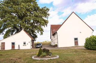Haus kaufen in 31603 Diepenau, Diepenau - Grundsaniertes Haus mit Pferdeboxen