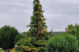 Einfamilienhaus kaufen in 06279 Farnstädt, Farnstädt - Einfamilienhaus-Doppelhaushälfte - PRIVATVERKAUF