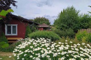 Haus kaufen in 23896 Nusse, Nusse - Handwerkerhaus in Märchenhafter Lage! Bungalow im Grünen