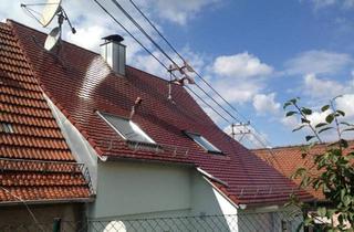Mehrfamilienhaus kaufen in 71726 Benningen, Benningen am Neckar - Mehrfamilienhaus