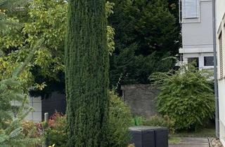 Wohnung kaufen in 73760 Ostfildern, Kaufen statt Mieten! Sonnige und gut aufgeteilte 3-Zimmer-Wohnung in Ostfildern - Ruit