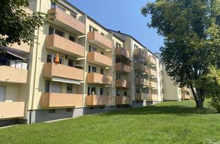 Wohnung kaufen in 91207 Lauf, Sehr gepflegte 3-Zimmer-Wohnung mit Südbalkon in ruhiger Lage in Lauf