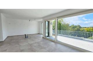 Penthouse kaufen in Mühlbachstraße 29, 71711 Steinheim, Lichtstarkes Penthouse mit wunderschöner Aussicht