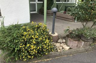 Wohnung kaufen in 65527 Niedernhausen, * Attraktive 4 Zimmer Wohnung, auch als Kapitalanlage in Niedernhausen