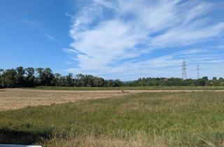 Wohnung kaufen in Auf Hart 83, 71706 Markgröningen, Ruhiges Wohnen am Ortsrand – Charmante 1-Zimmer-Wohnung mit Terrasse & mini Garten