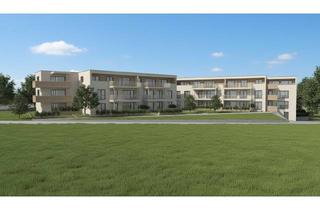 Penthouse kaufen in 89129 Langenau, Penthouse Wohnung in ruhiger Lage - KFW 40 QNG