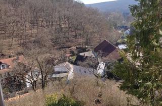 Wohnung kaufen in Am Schlossberg, 61239 Ober-Mörlen, Schöne und sanierte 3 5-Zimmer-Wohnung mit Balkon und EBK