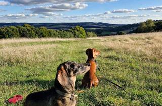 Wohnung kaufen in Uleweg 26, 24404 Maasholm, Charmantes Apartment mit Südterrasse an der Schlei