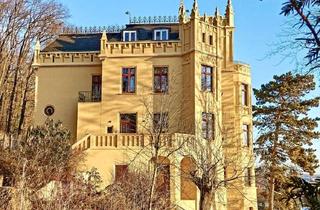 Wohnung kaufen in 07548 Untermhaus, Exklusive 4-Zimmer-Residenz in einer der schönsten Villen der Stadt – Panoramablick & zeitloser Char